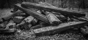 20131026_lapadu_dsc_7671