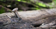20131026_lapadu_dsc_7678