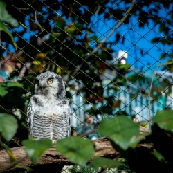 20141014_ZooKoeln_DSC_2773