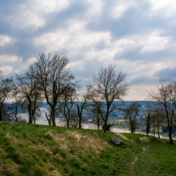 20150406_Rheinsteig3_DSC_1364.jpg