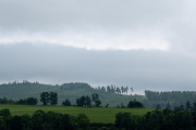 20250615-Diemelsee-8488