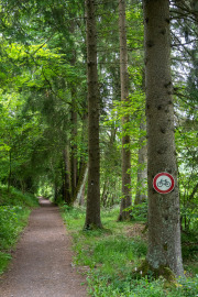 20250616-Diemelsee-8537