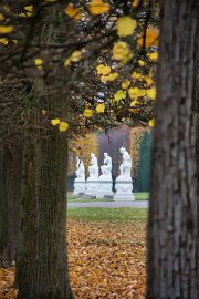 20251108-SchlossBenrath-0084