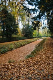20251108-SchlossBenrath-0145