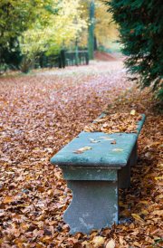 20251108-SchlossBenrath-0148