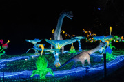 20260123-ChinaLights-0379