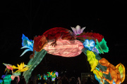 20260123-ChinaLights-0382
