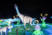 20260123-ChinaLights-0384