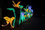 20260123-ChinaLights-0391