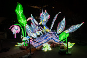 20260123-ChinaLights-0394