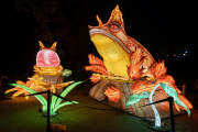 20260123-ChinaLights-0402