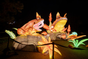 20260123-ChinaLights-0404