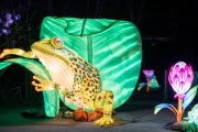 20260123-ChinaLights-0407