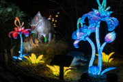 20260123-ChinaLights-0408