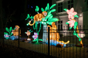 20260123-ChinaLights-0421