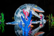 20260123-ChinaLights-0423