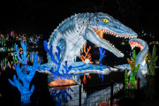 20260123-ChinaLights-0426