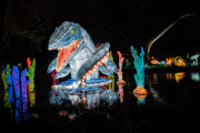 20260123-ChinaLights-0434