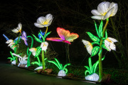 20260123-ChinaLights-0438