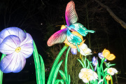 20260123-ChinaLights-0441