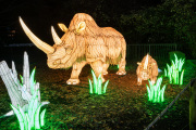 20260123-ChinaLights-0446
