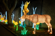20260123-ChinaLights-0457