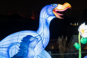 20260123-ChinaLights-0468