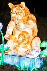 20260123-ChinaLights-0476