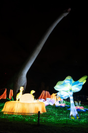 20260123-ChinaLights-0486