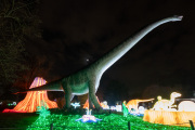 20260123-ChinaLights-0488