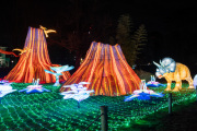 20260123-ChinaLights-0495