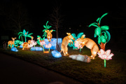 20260123-ChinaLights-0500