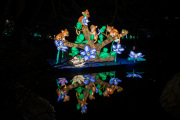 20260123-ChinaLights-0503