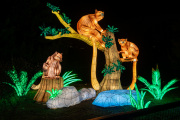 20260123-ChinaLights-0505