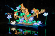 20260123-ChinaLights-0509