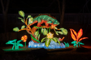 20260123-ChinaLights-0516