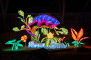 20260123-ChinaLights-0517