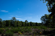 20260906-WahnerHeide-DSC_1878