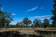 20260906-WahnerHeide-DSC_1879