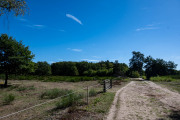 20260906-WahnerHeide-DSC_1883
