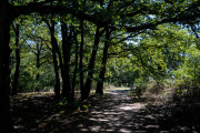 20260906-WahnerHeide-DSC_1889
