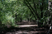 20260906-WahnerHeide-DSC_1898