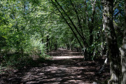 20260906-WahnerHeide-DSC_1900
