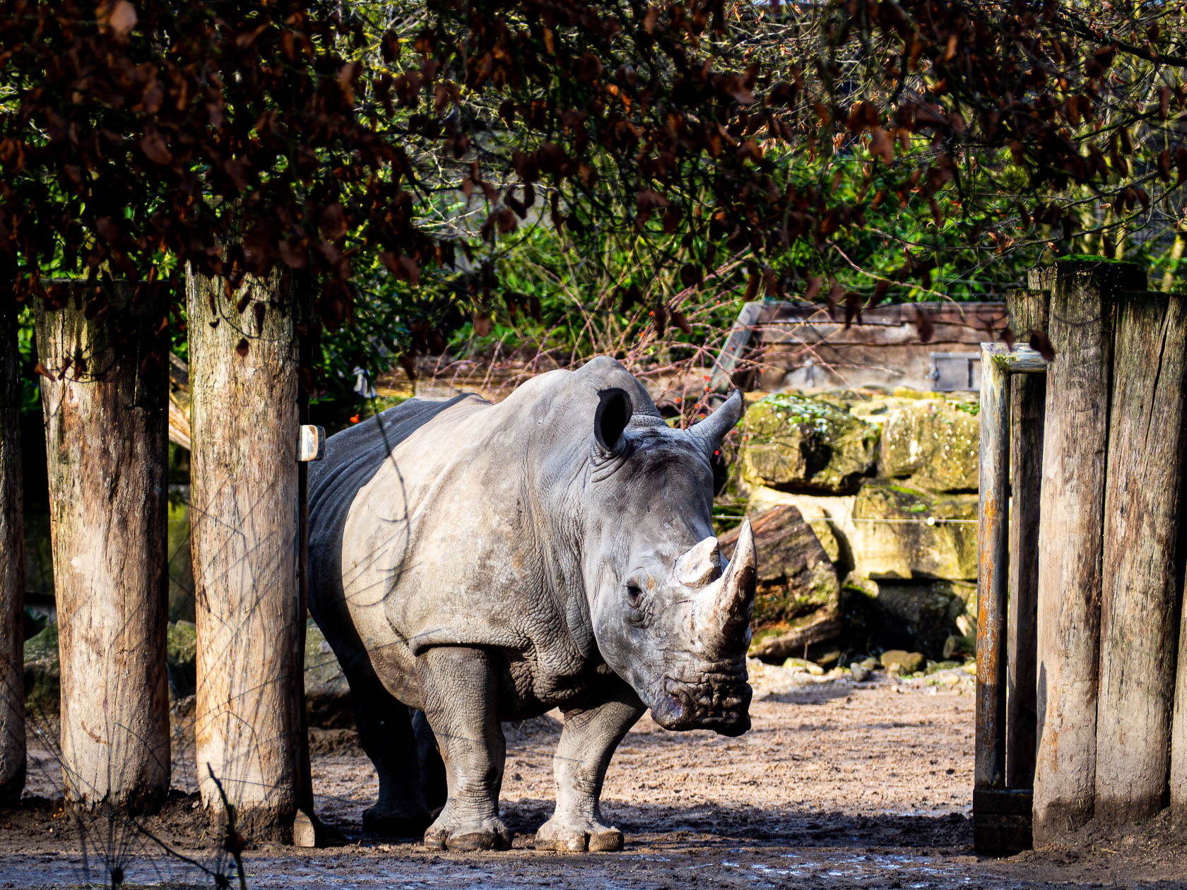 Allwetter Zoo Münster