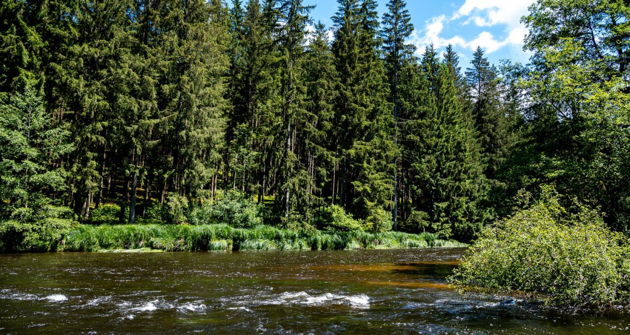 Wanderung durch das wunderschöne Bayerisch Kanada