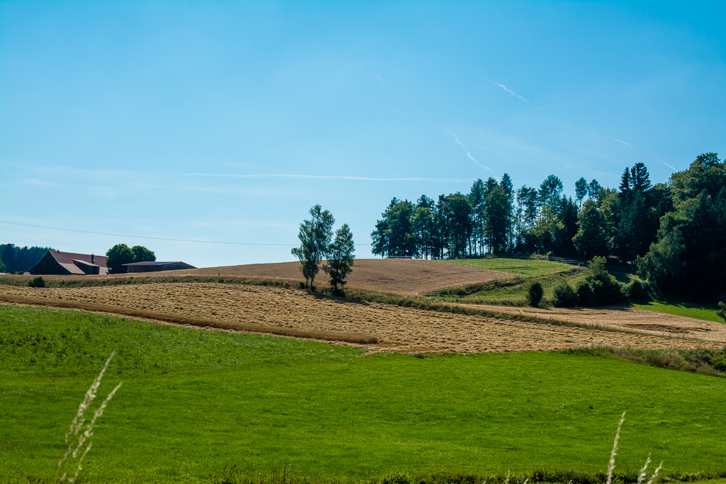 Im bayerischen Wald unterwegs