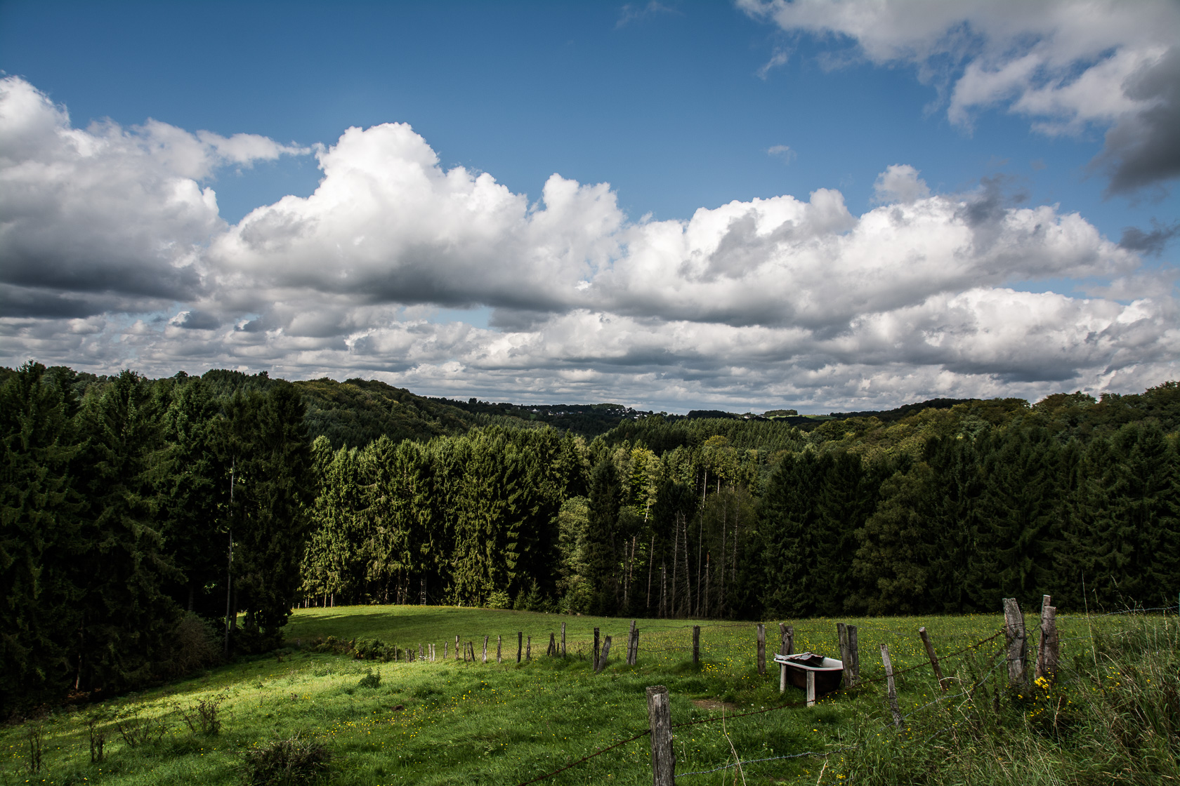 Auf dem Kräuterweg 19, der aber gar keiner war